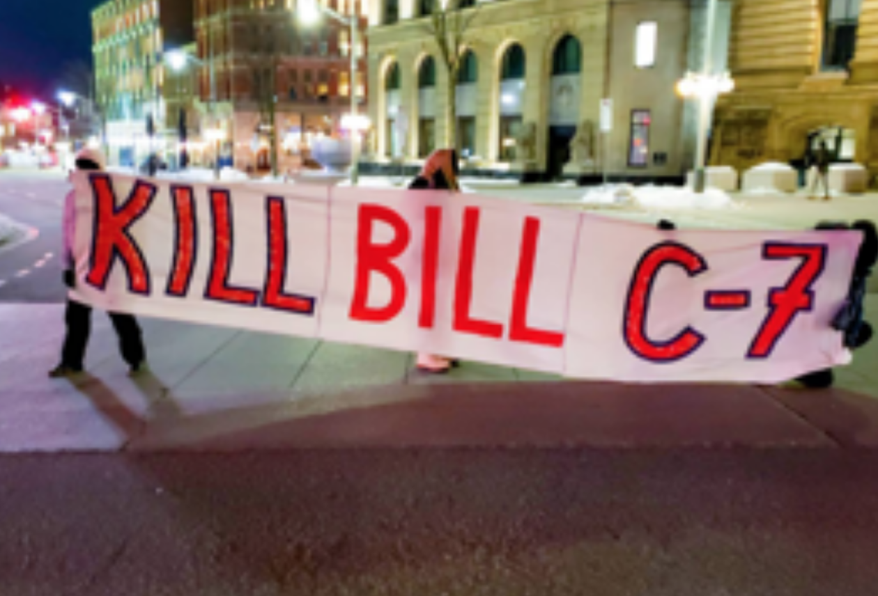 Inequality Disability Visibility Project